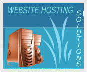 Website Hosting