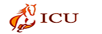 Internet Concepts Unlimited Logo